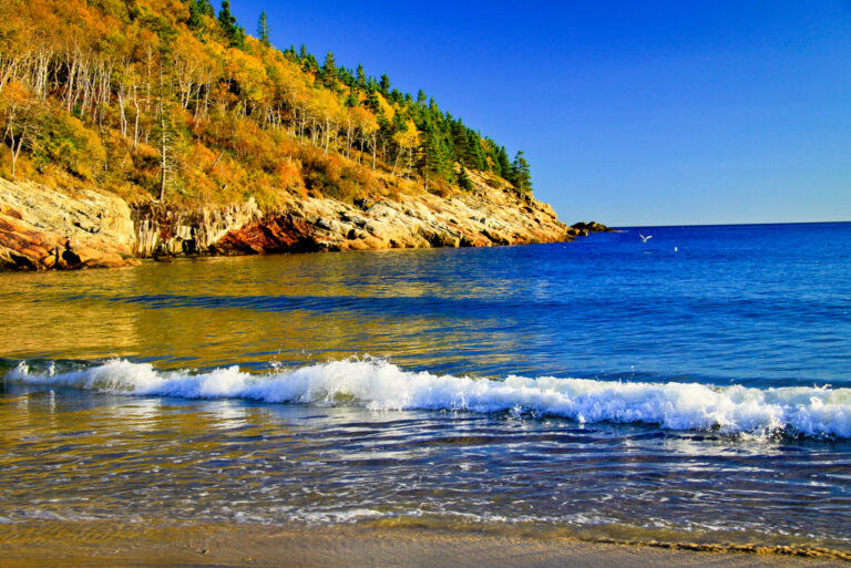 Sand Beach Acadia NP